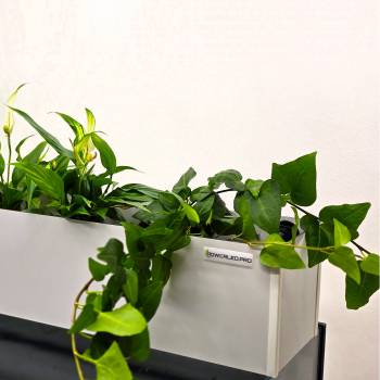 Hydroponika 30 cm