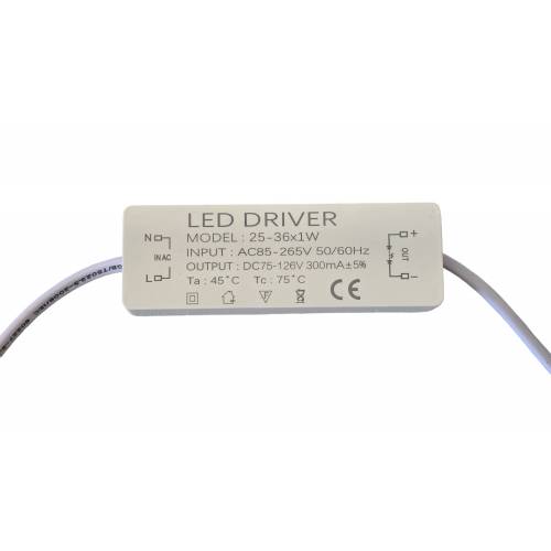 LED Driver Model 25–36x1W – 300 mA