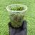 Salwinia Natans op. 400ml