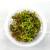 Rotala Yao Yai INVs